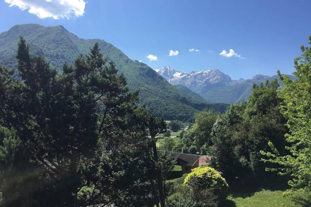 Chalet de l'Ours Brun, gîte 3 étoiles Gere-Belesten Extérieur photo